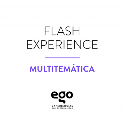 EGO Flash Experience